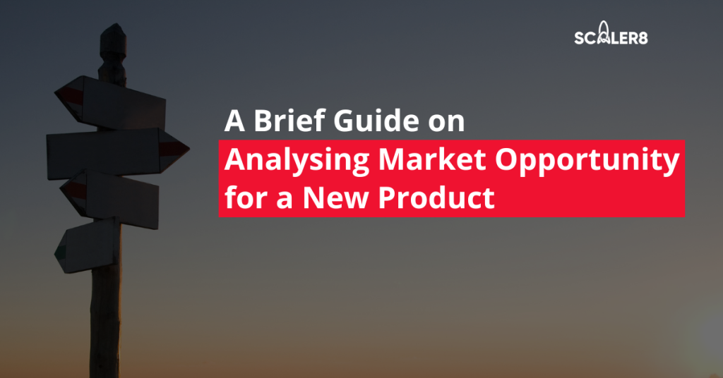 A Brief Guide on Analysing Market Opportunity for a New Product